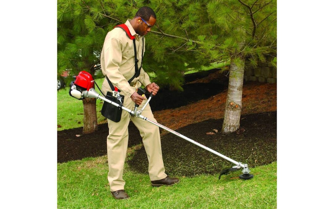 3924dc97-a675-4293-87f7-12087369a8b4