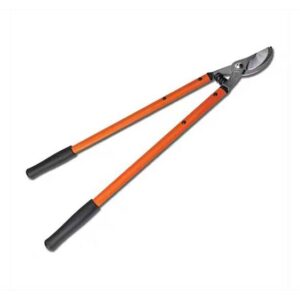 124e19e5-b26d-4d01-90b7-4979048f933a