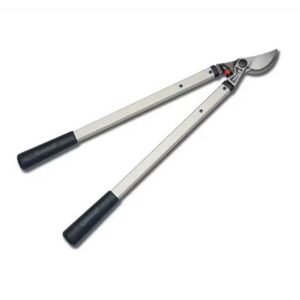 c92d9f2c-f5ea-4b4c-a34d-fbfe22d3783d