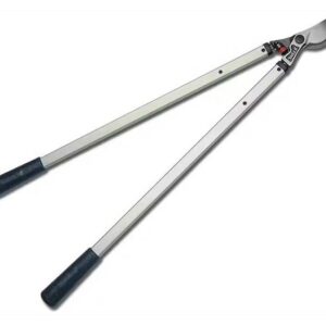 e5bbbd49-99a1-4c38-9da9-2bd235d9eebb